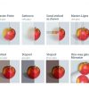 ADA Aluminium doors accessories - Image 3